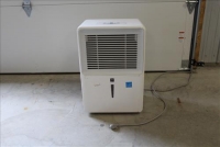 Sale Image for Large Public Auction