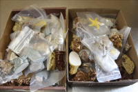 Sale Image for Large Public Auction