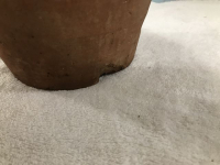 Sale Image for February Online Auction 2021