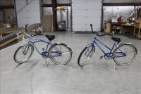 Sale Image for Large Indoor Public Auction