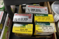 Sale Image for Large Public Auction