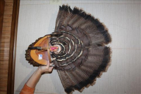 Sale Image for Real Estate &amp; Contents