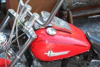 Sale Image for Large Public Auction