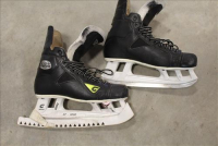 Sale Image for Large Public Auction