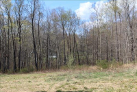 Sale Image for Real Estate Auction