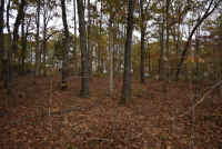 Sale Image for Wilkin Estate Personal Prop. -Absentee Bidding