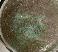 Sale Image for New Year Part 2 Auction 2026