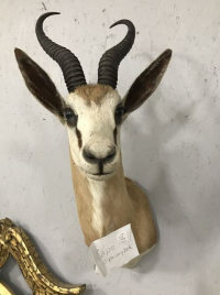 Sale Image for August Online Auction 2020