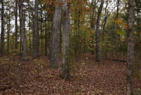 Sale Image for Wilkin Estate Personal Prop. -Absentee Bidding