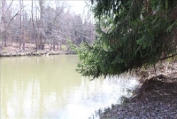 Sale Image for Real Estate & Contents