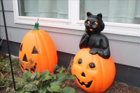 Sale Image for Large Public Auction