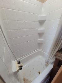 Sale Image for July Online Auction 2023