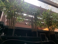 Sale Image for DaDong Catering LLC