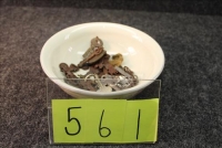 Sale Image for Online Bidding Only Auction