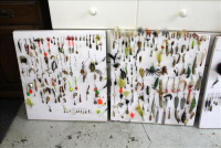 Sale Image for Large Public Auction