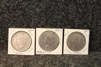 Sale Image for Large Public Auction