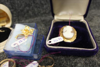 Sale Image for Large Public Auction