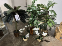 Sale Image for Dental Practice Management, LLC