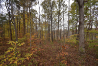 Sale Image for Wilkin Estate Personal Prop. -Absentee Bidding