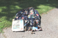 Sale Image for Online Estate Auction