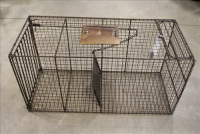 Sale Image for Large Public Auction