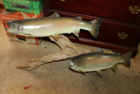 Sale Image for Estate Auction