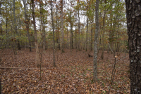 Sale Image for Wilkin Estate Personal Prop. -Absentee Bidding