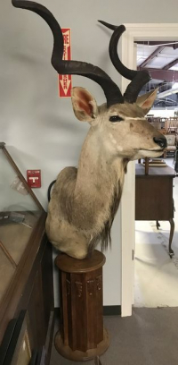 Sale Image for August Online Auction 2020