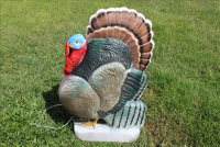 Sale Image for Real Estate & Contents