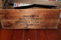 Sale Image for Large Public Auction