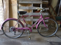 Sale Image for VW Beetle, Trucks, Harley And Personal Property