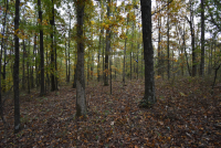 Sale Image for Wilkin Estate Personal Prop. -Absentee Bidding