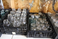 Sale Image for Large Public Auction