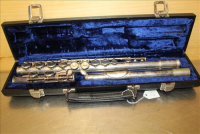 Sale Image for Large Public Auction