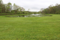 Sale Image for Real Estate & Contents