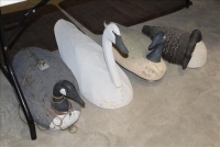 Sale Image for Large Public Auction