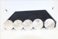 Sale Image for Large Public Auction