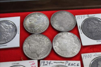 Sale Image for Large Indoor Public Auction