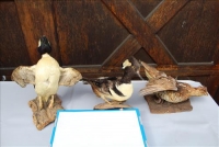 Sale Image for Large Public Auction