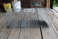 Sale Image for Moving Auction