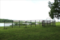 Sale Image for Moving &amp; Retirement Auction