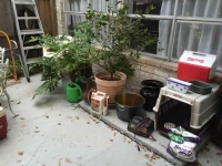 Sale Image for Big Estate Sale Sterling Silver, Jewelry, Furniture & More