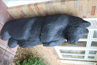 Sale Image for Real Estate &amp; Contents