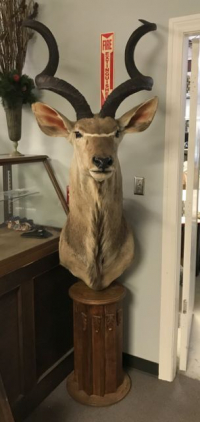 Sale Image for August Online Auction 2020