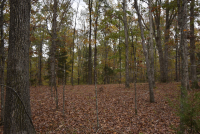 Sale Image for Wilkin Estate Personal Prop. -Absentee Bidding