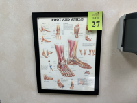 Sale Image for The Bunion Specialist