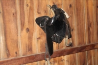 Sale Image for Public Auction