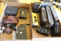 Sale Image for Large Public Auction