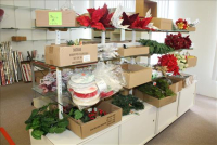 Sale Image for Jameson's Candy Store Liquidation Auction