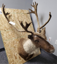 Sale Image for COEX Coffee International, Inc.